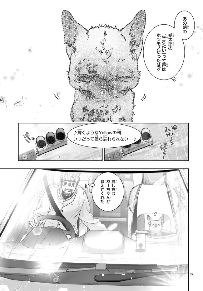 P35