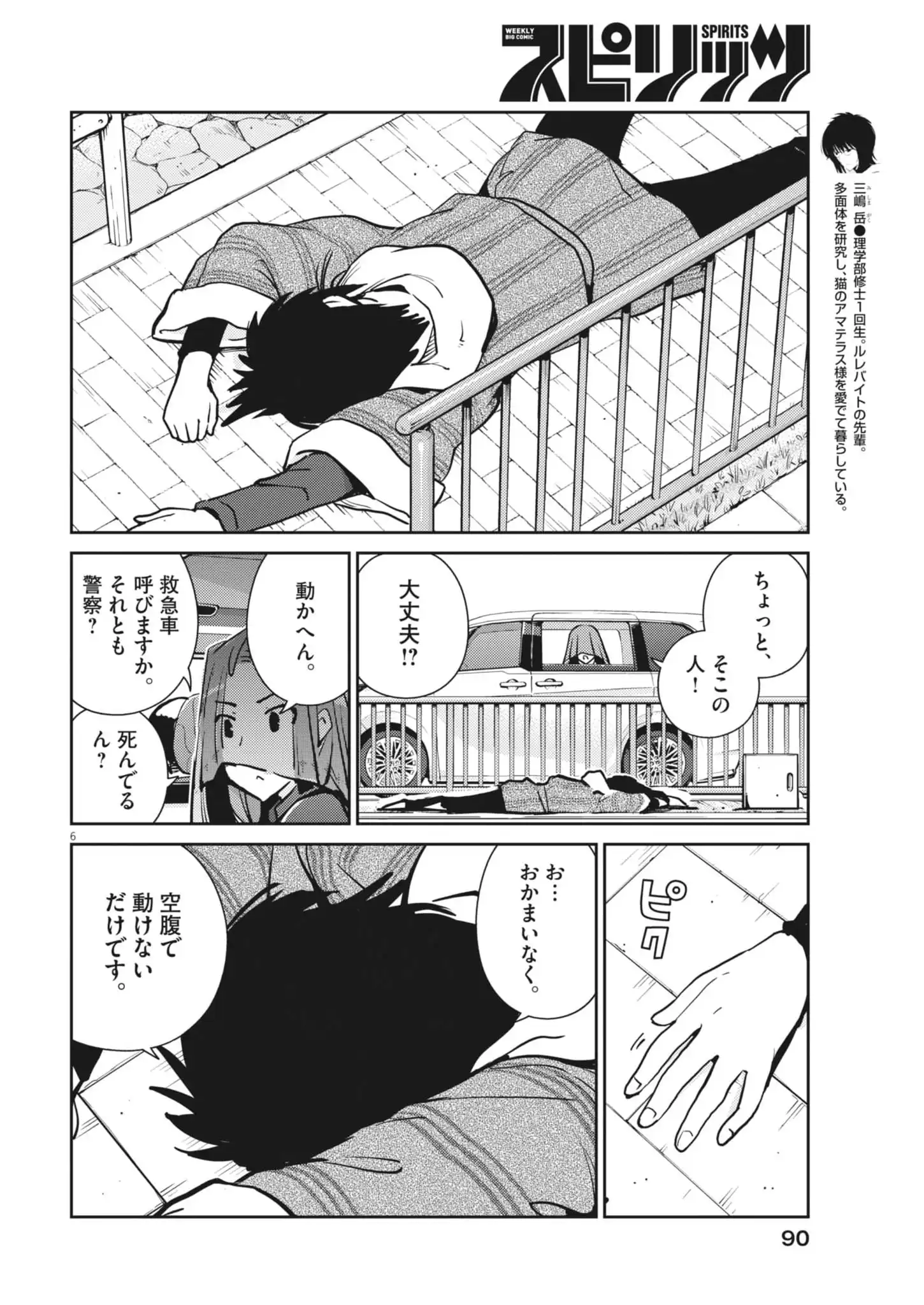 P6