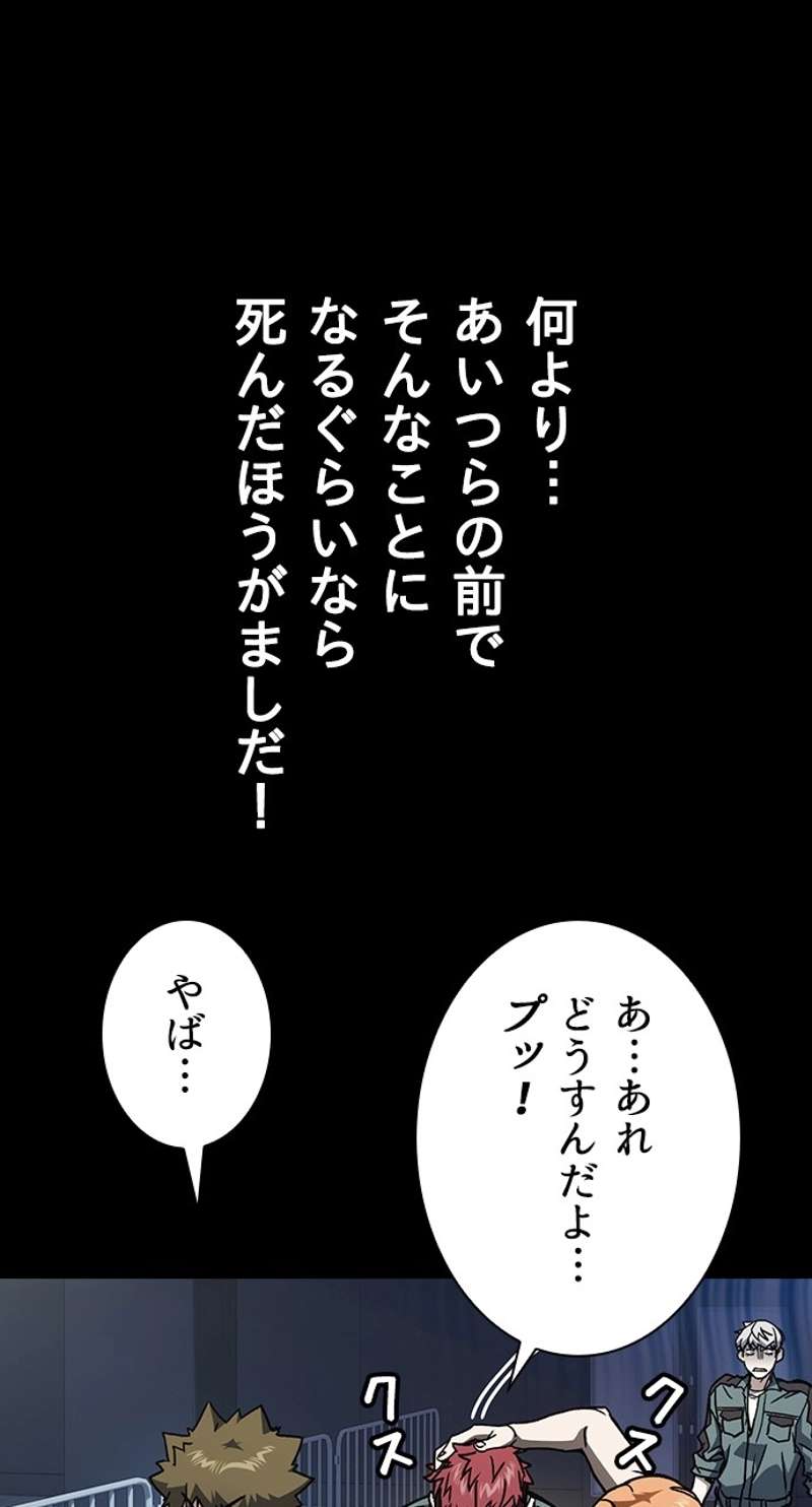 P66
