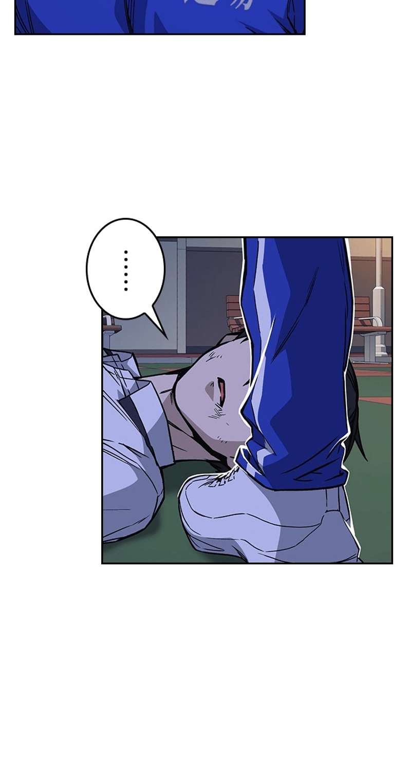 P53