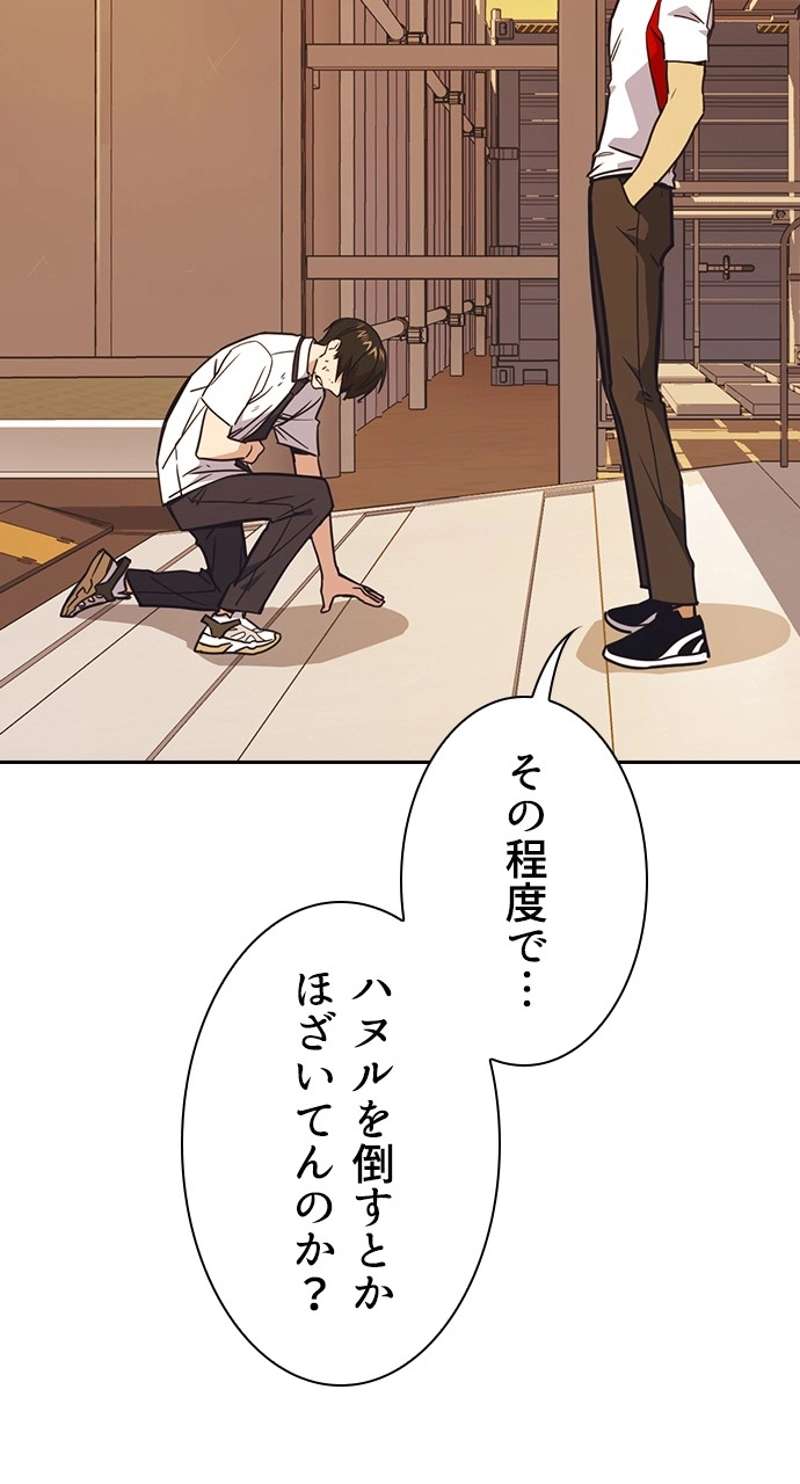 P53