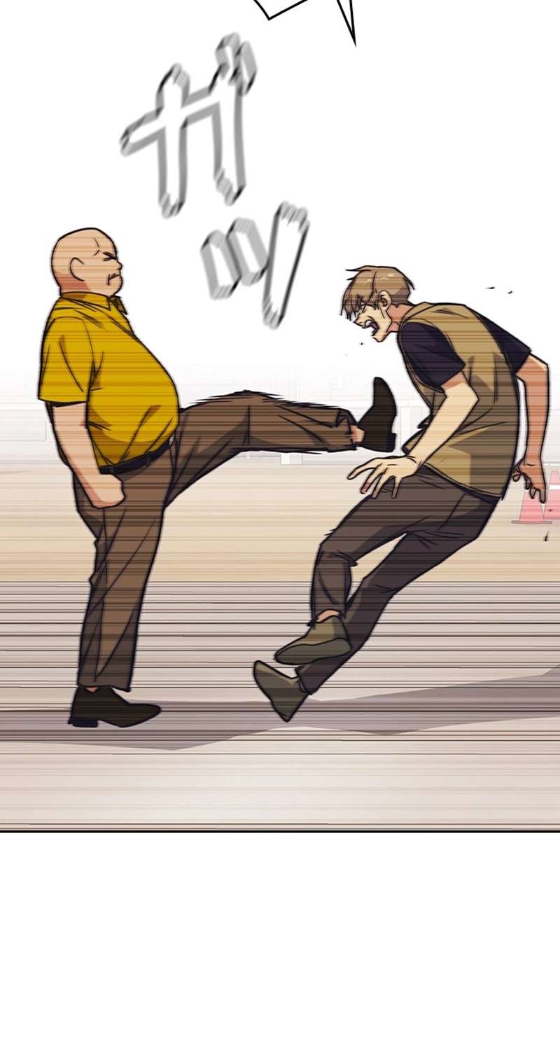 P66