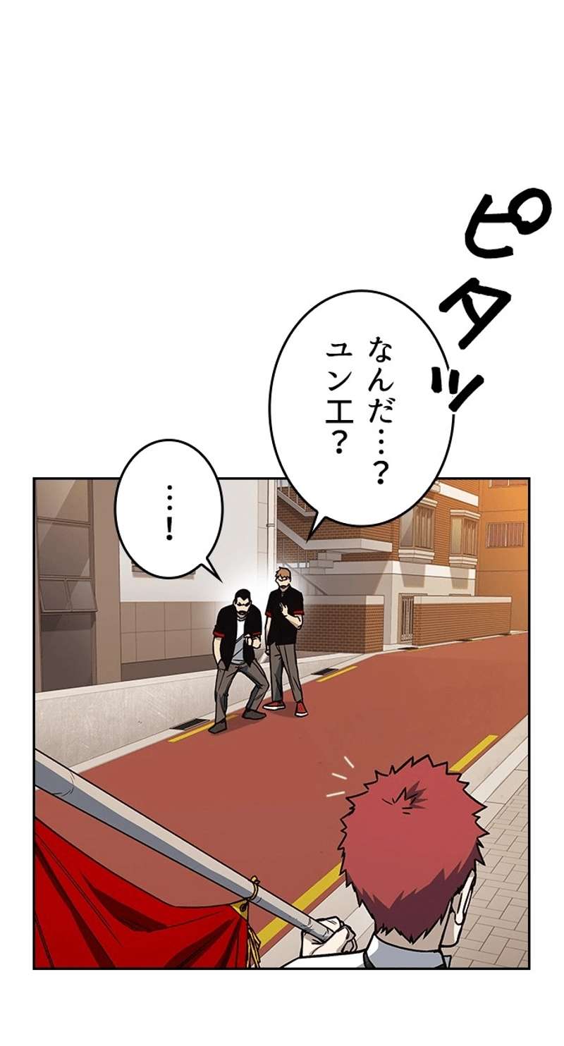 P66