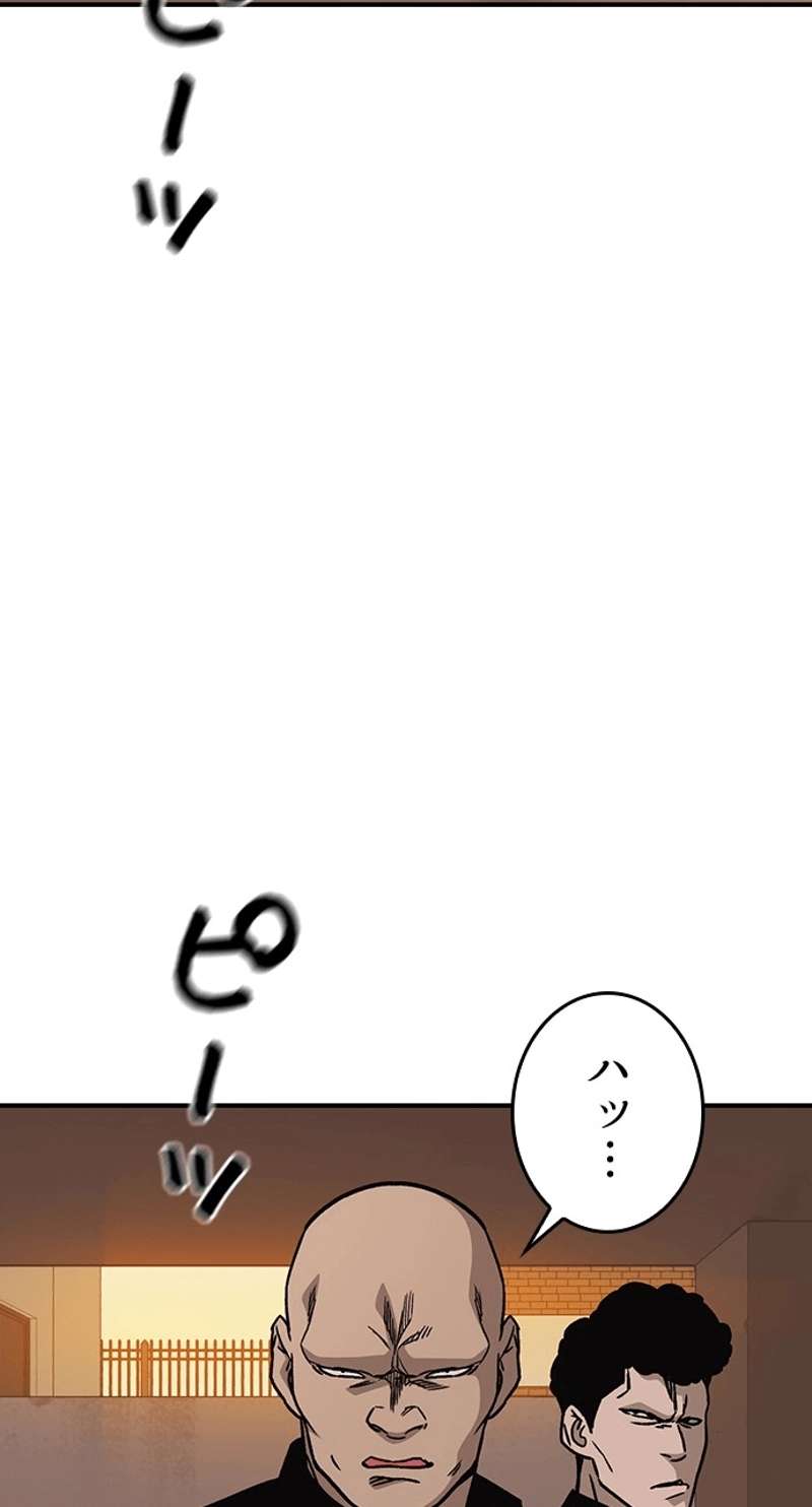 P53