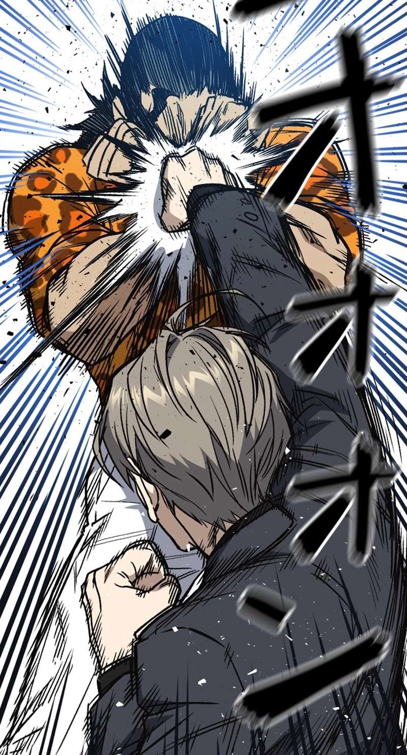 P48
