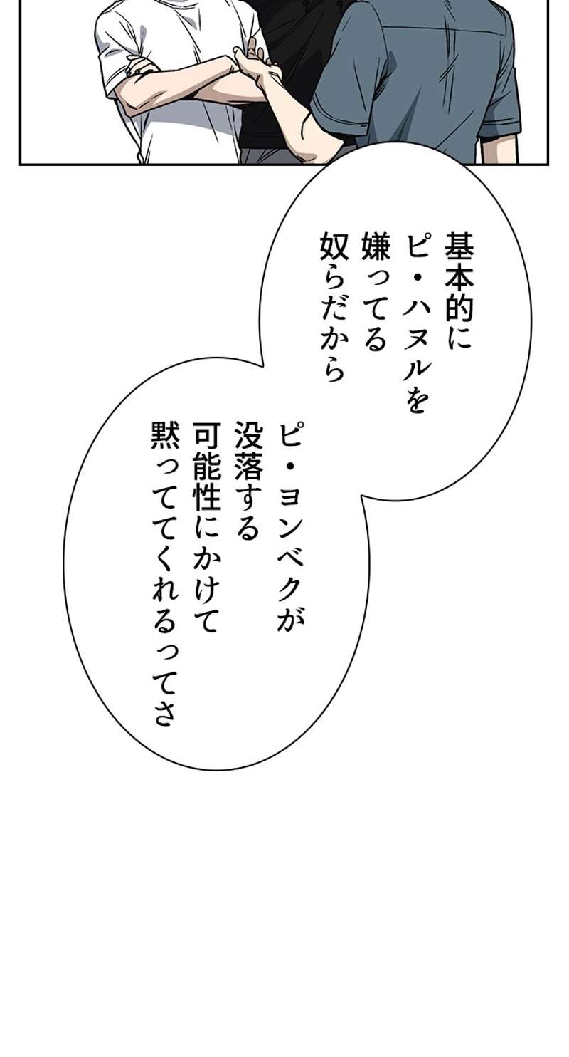 P53