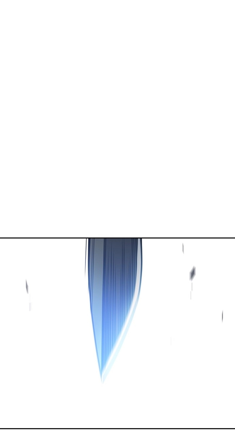 P113