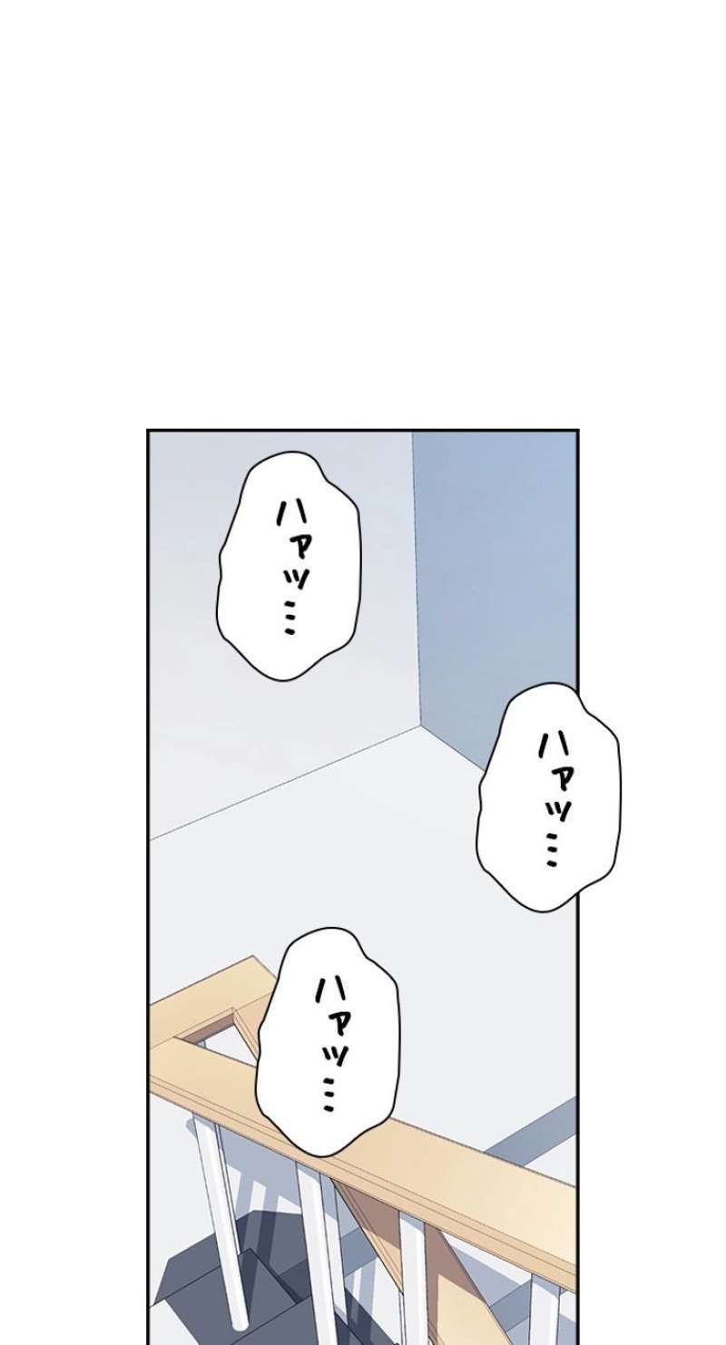 P66