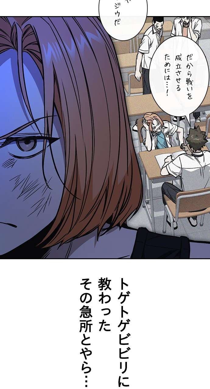 P66