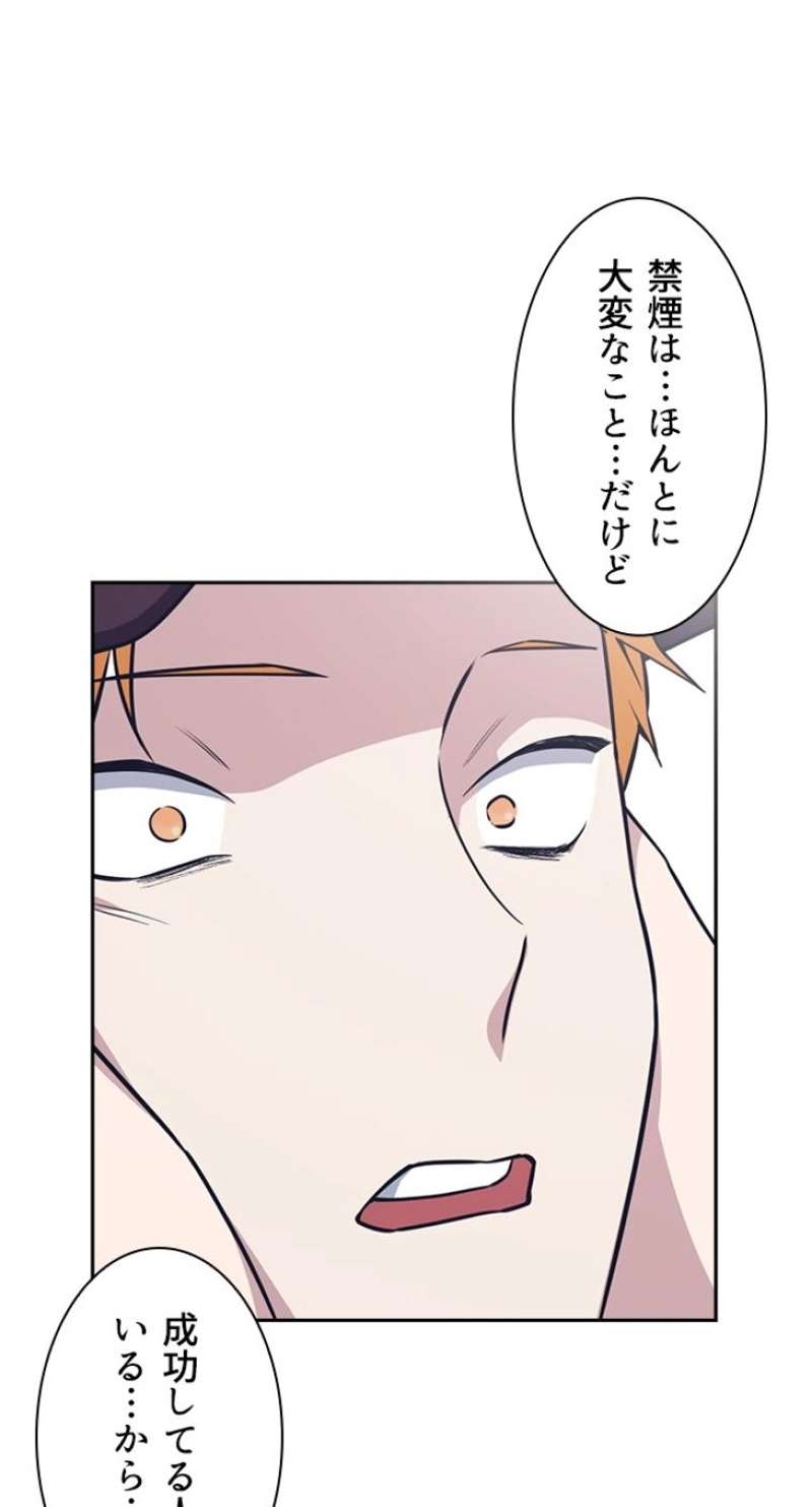 P41