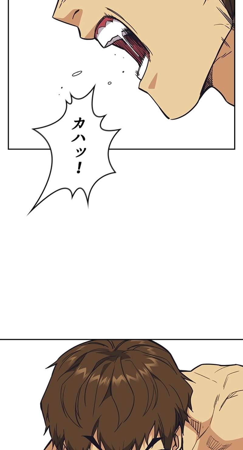 P44