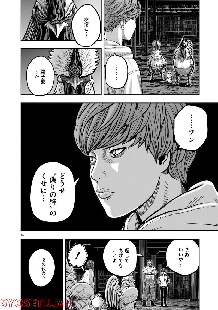 P14