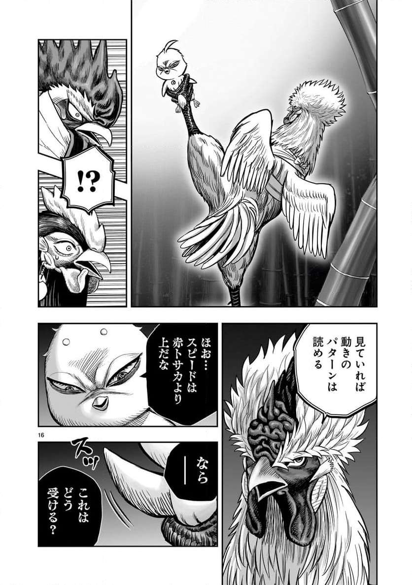 P16