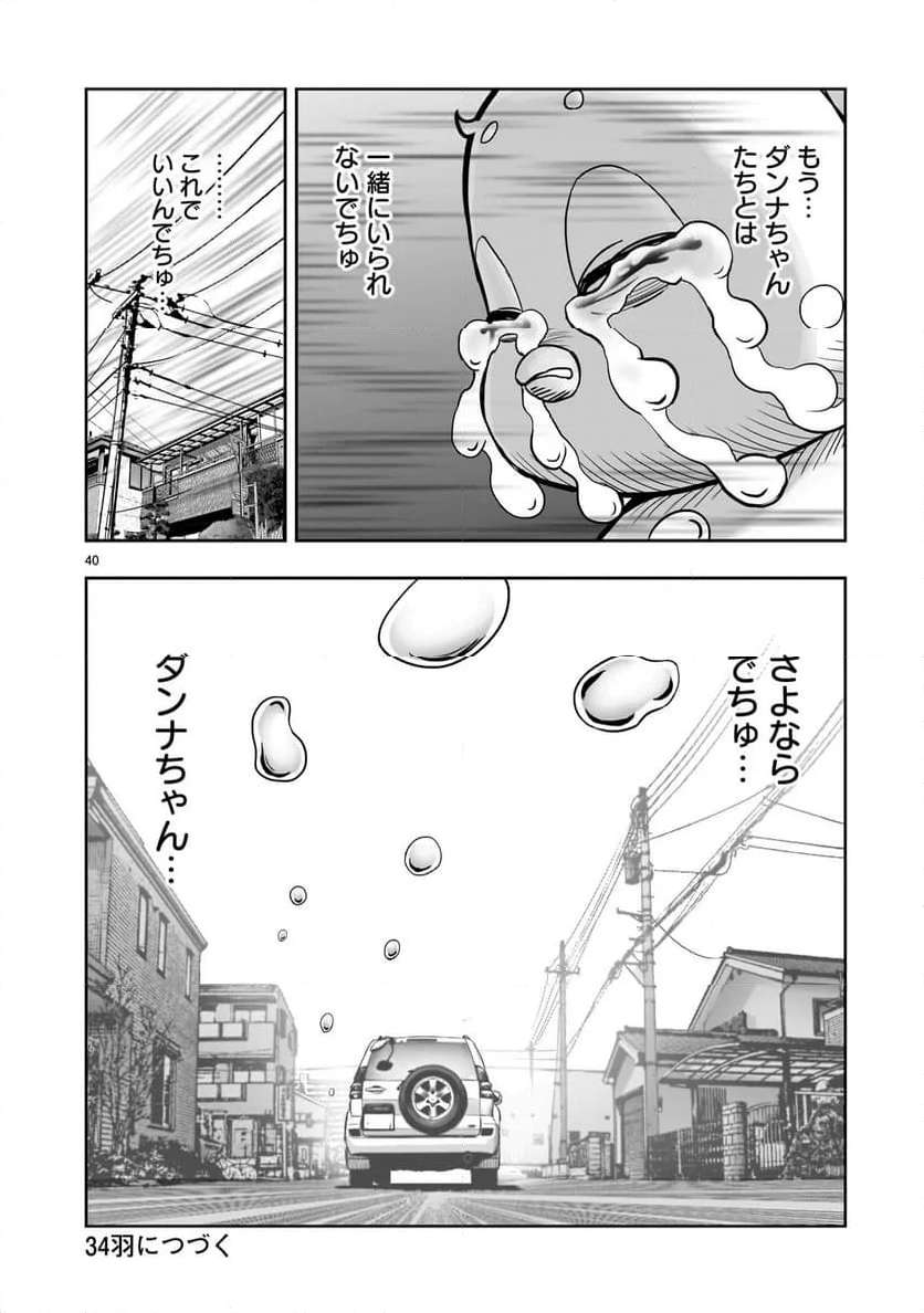 P40