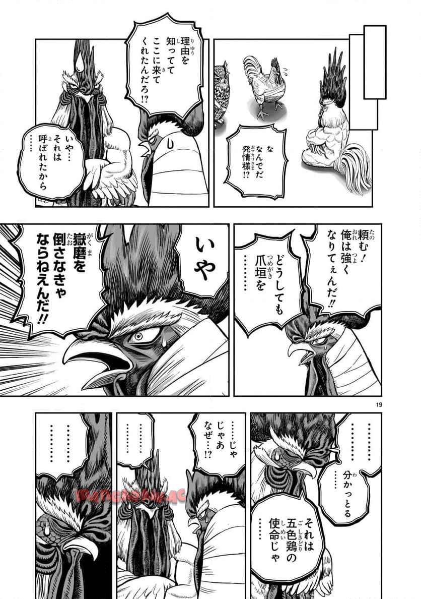 P19