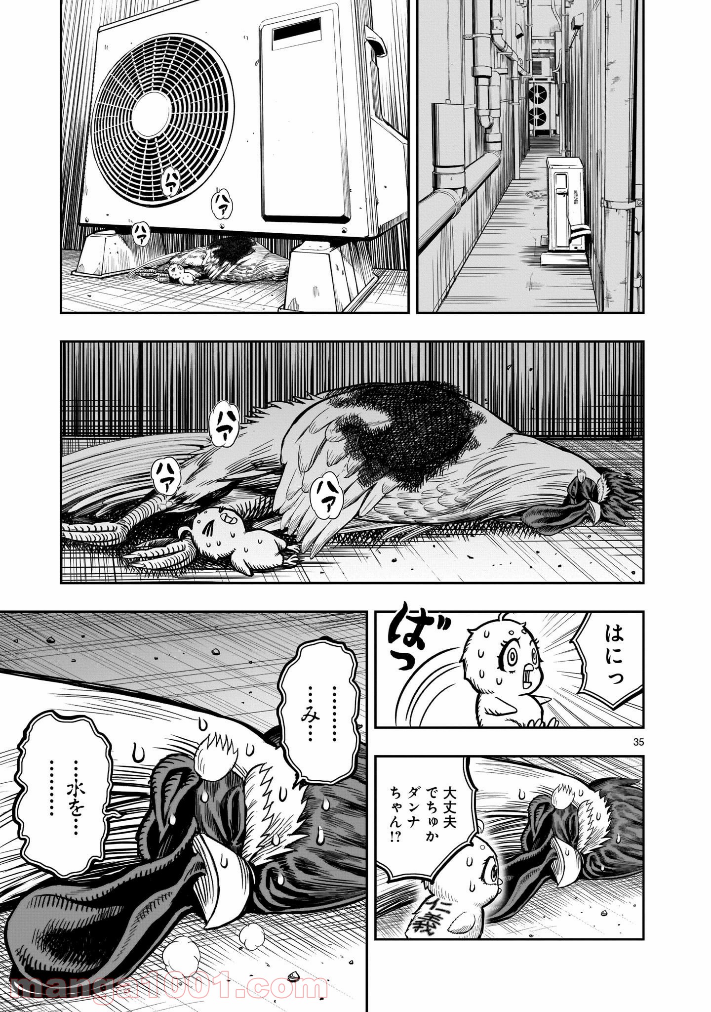 P35