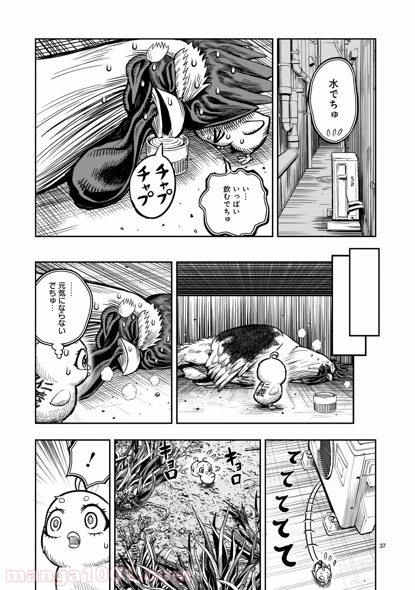 P37
