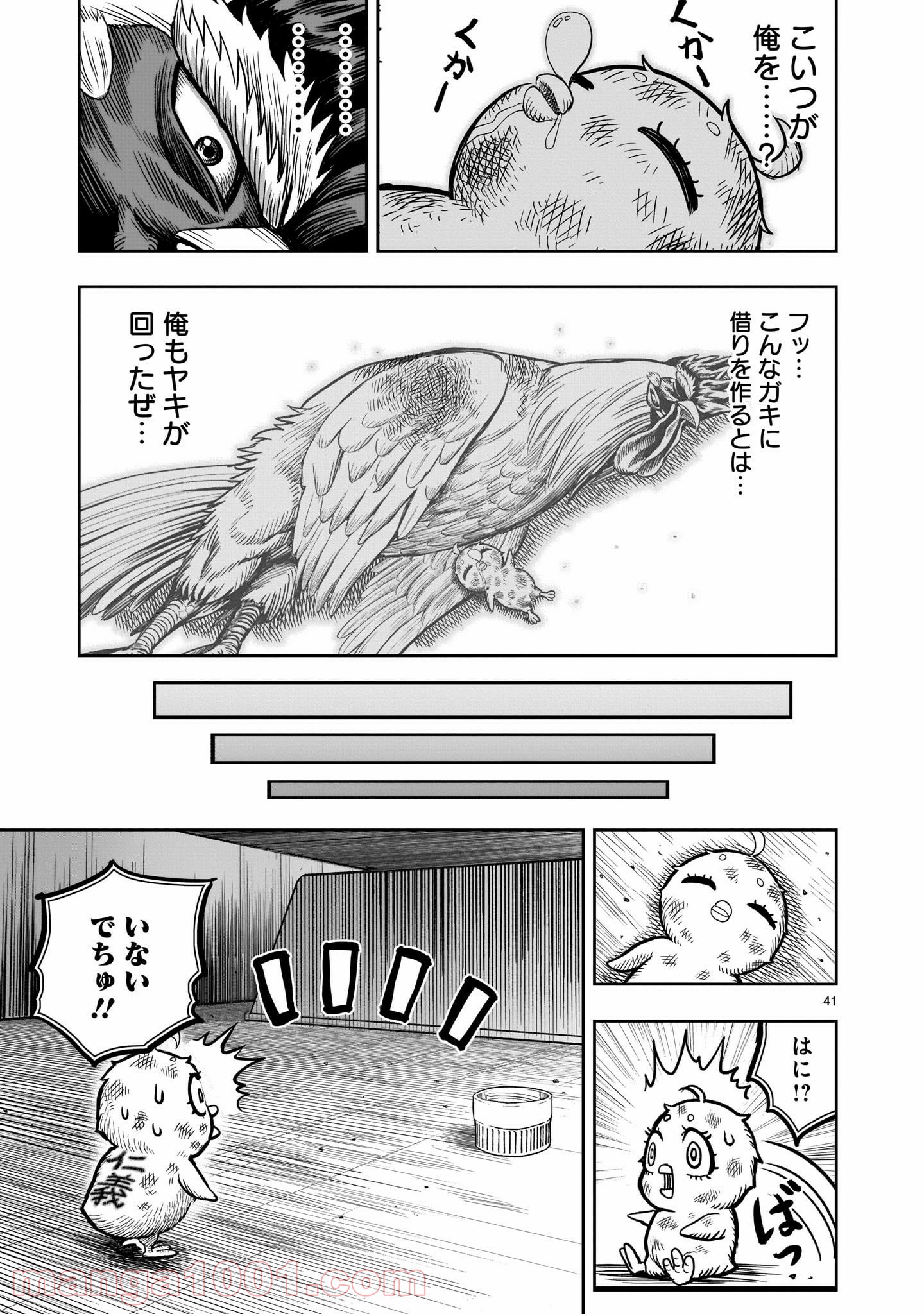 P41