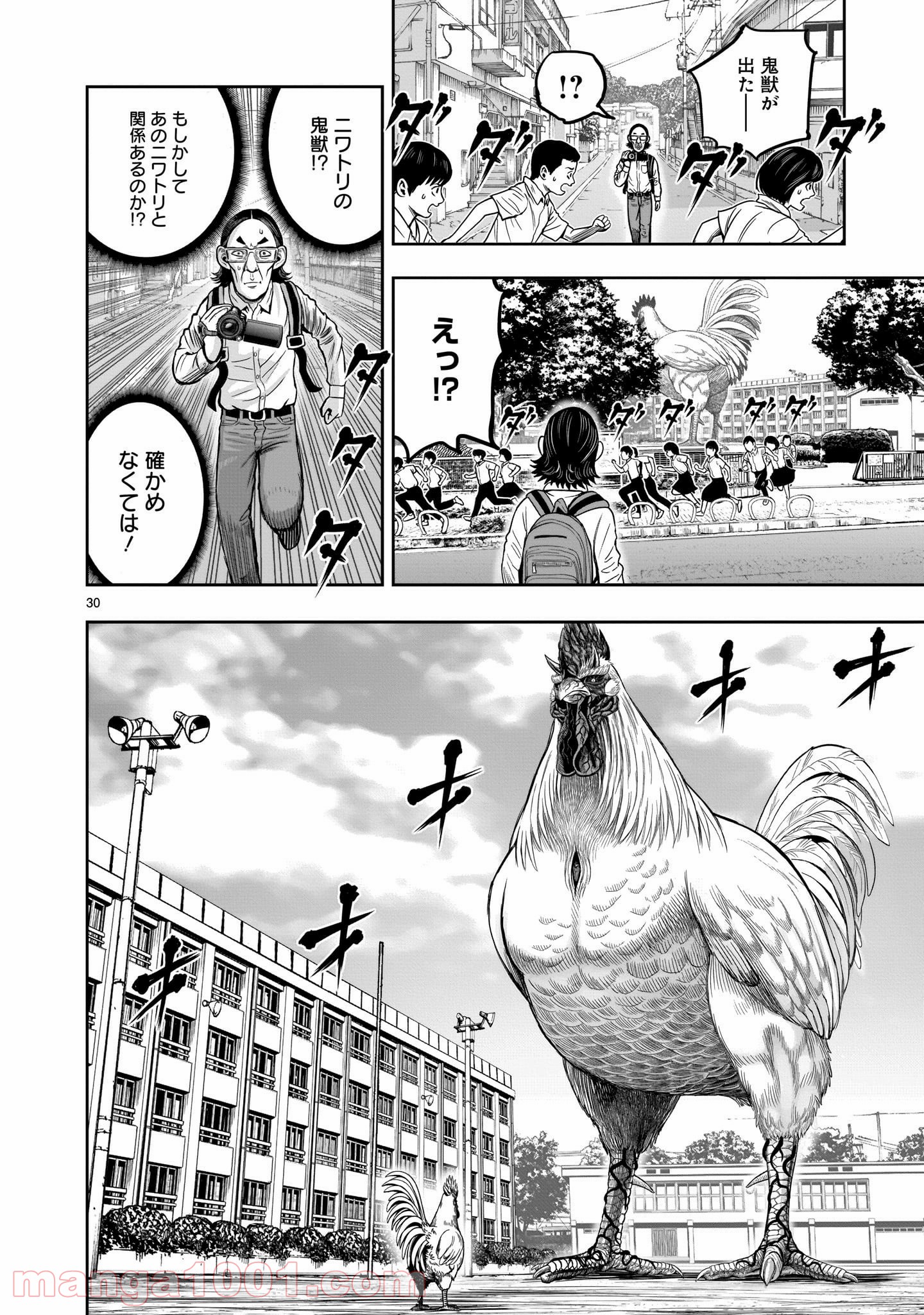 P29