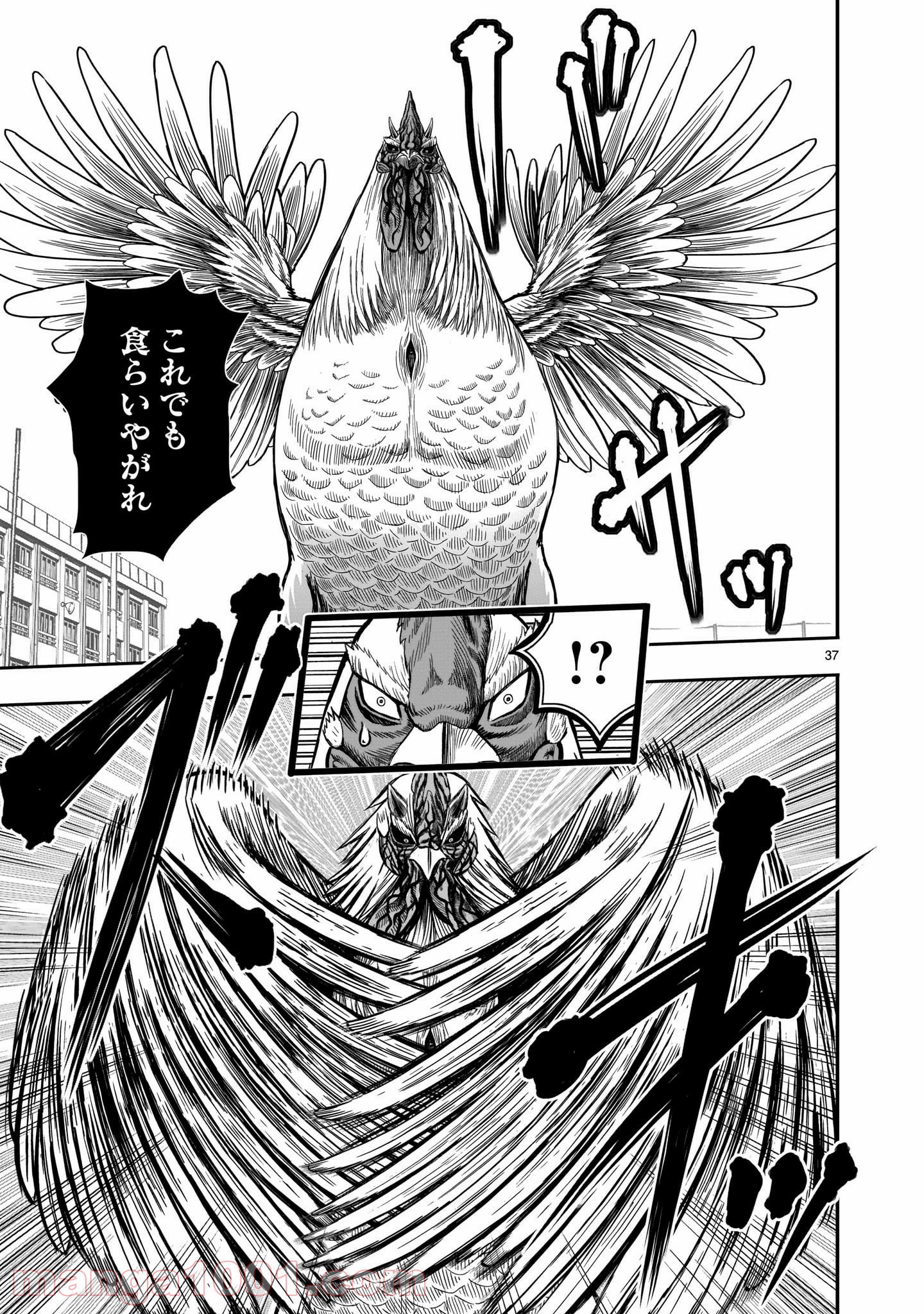 P36