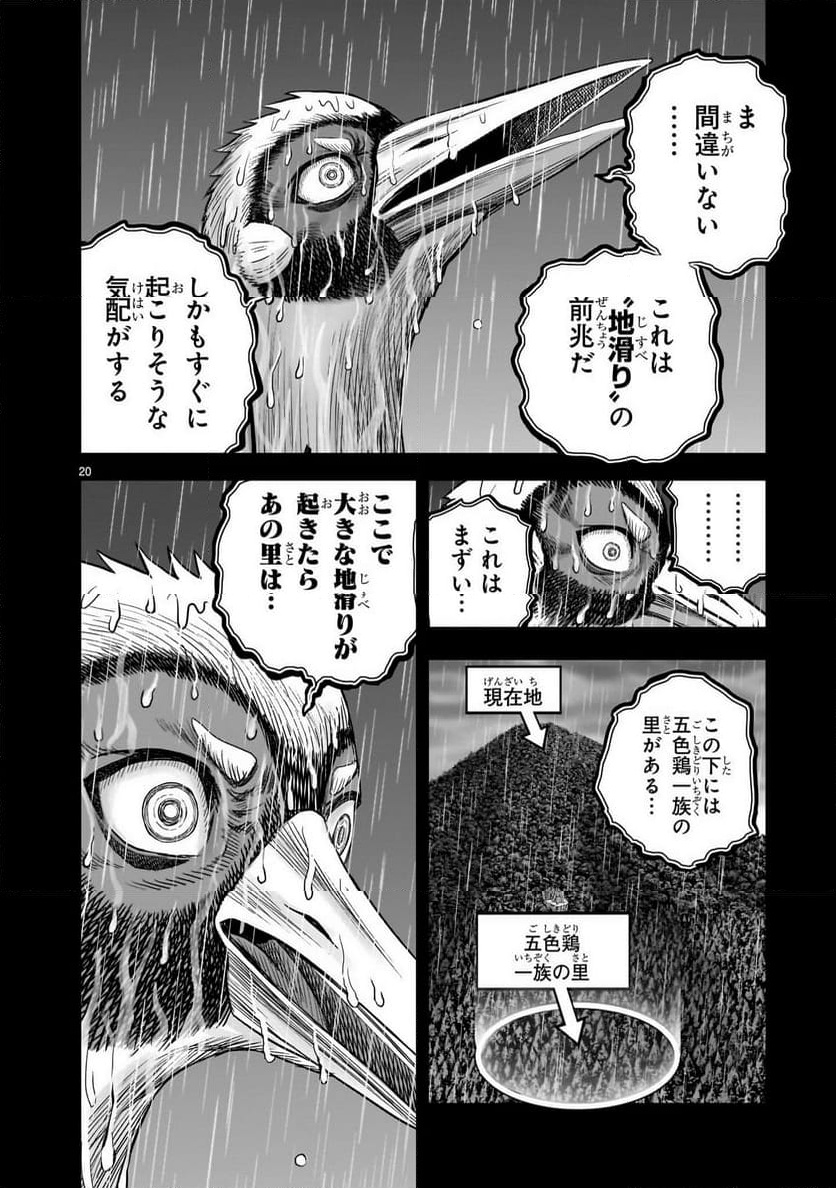 P20