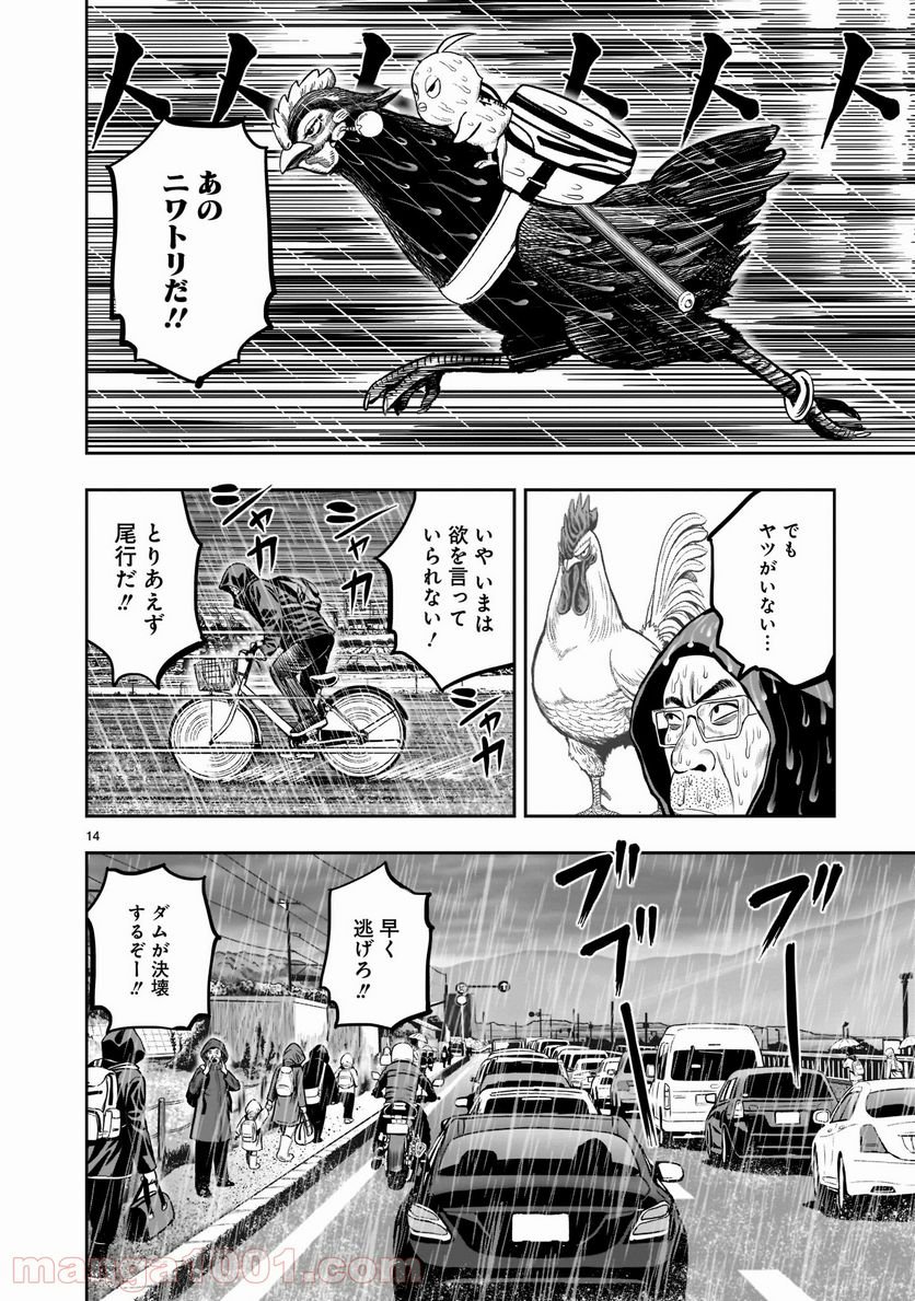 P14