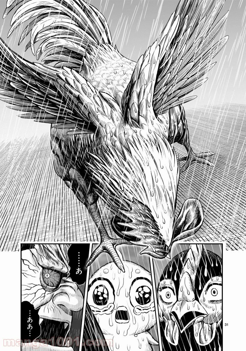 P31