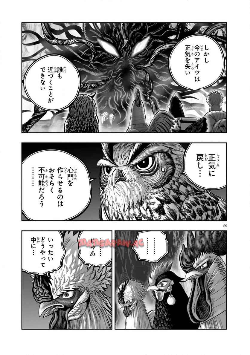 P29