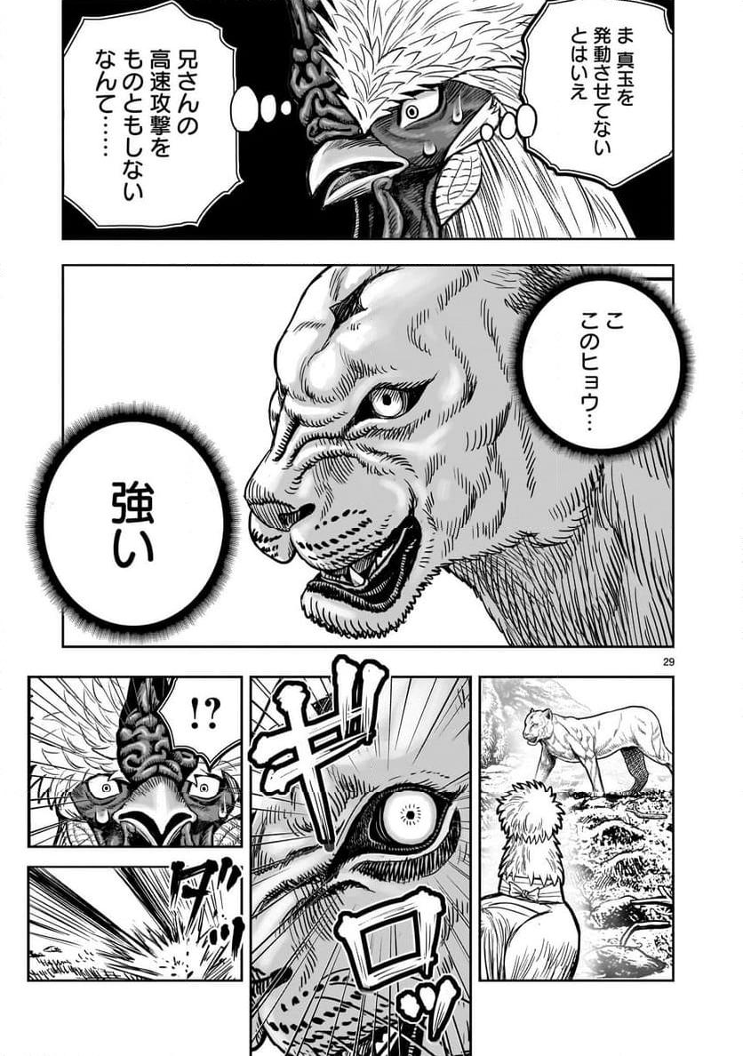 P29