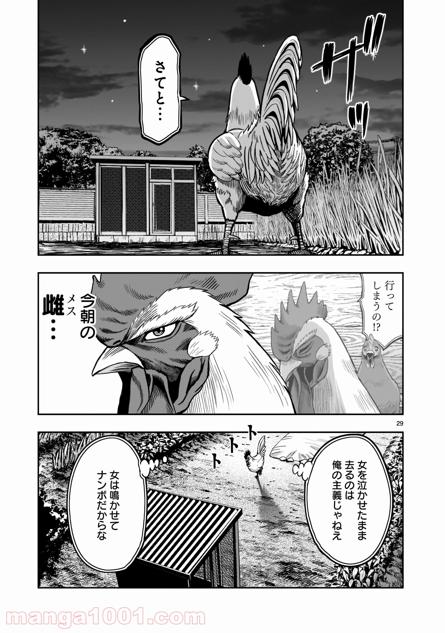 P29