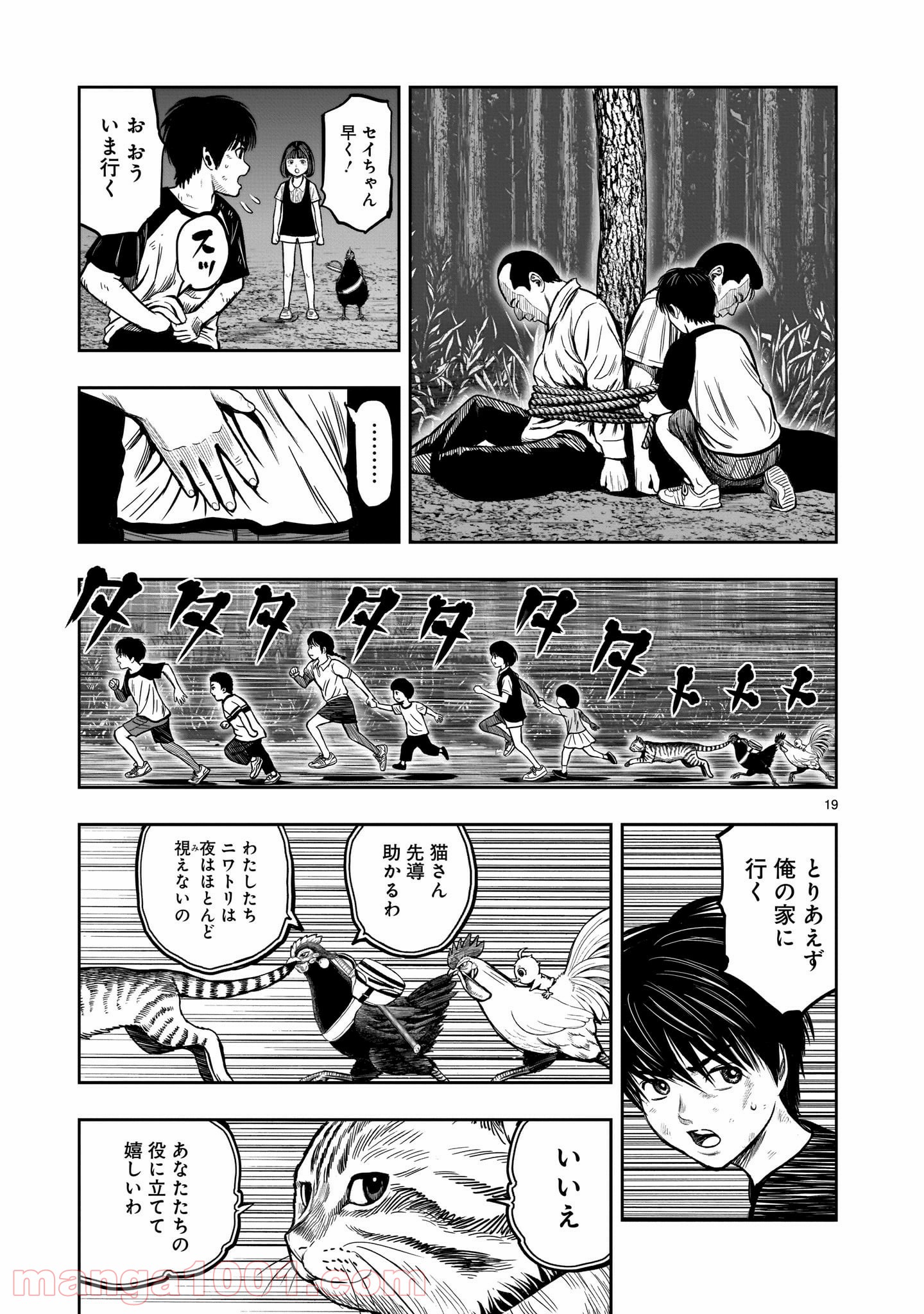 P19