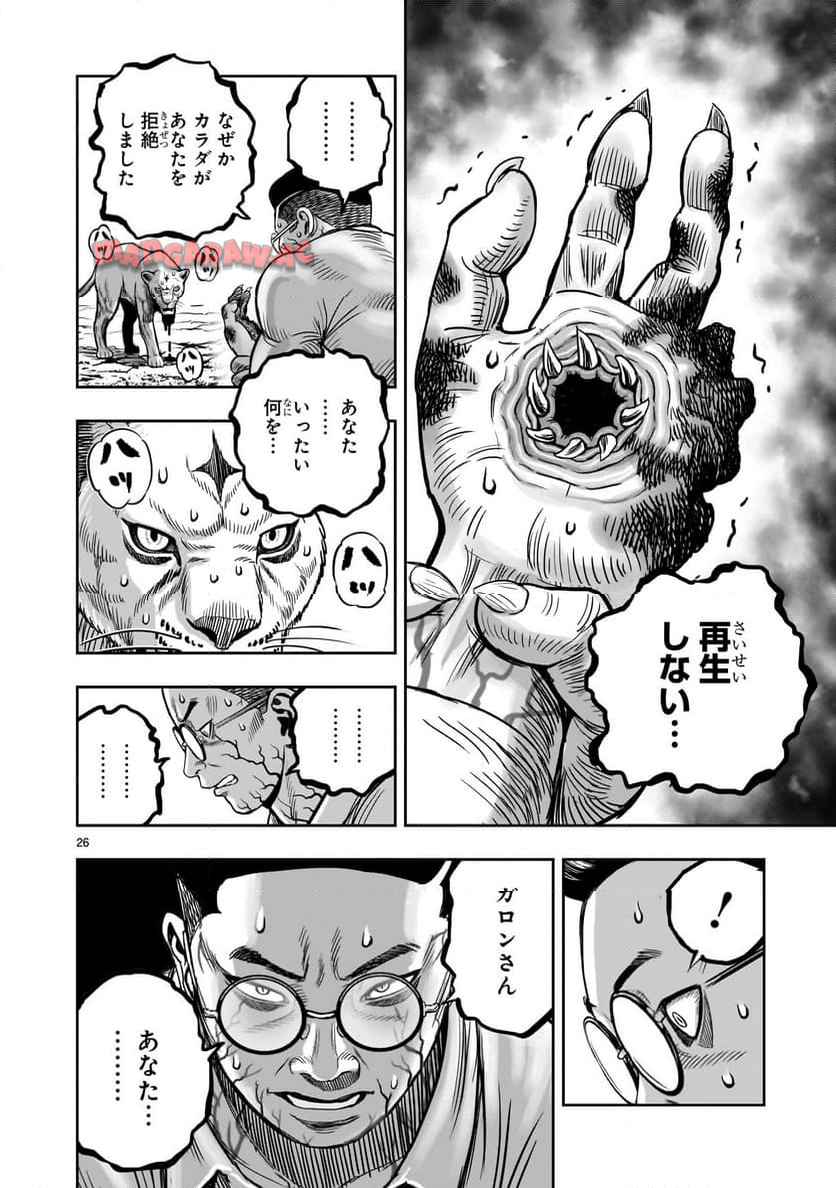 P26