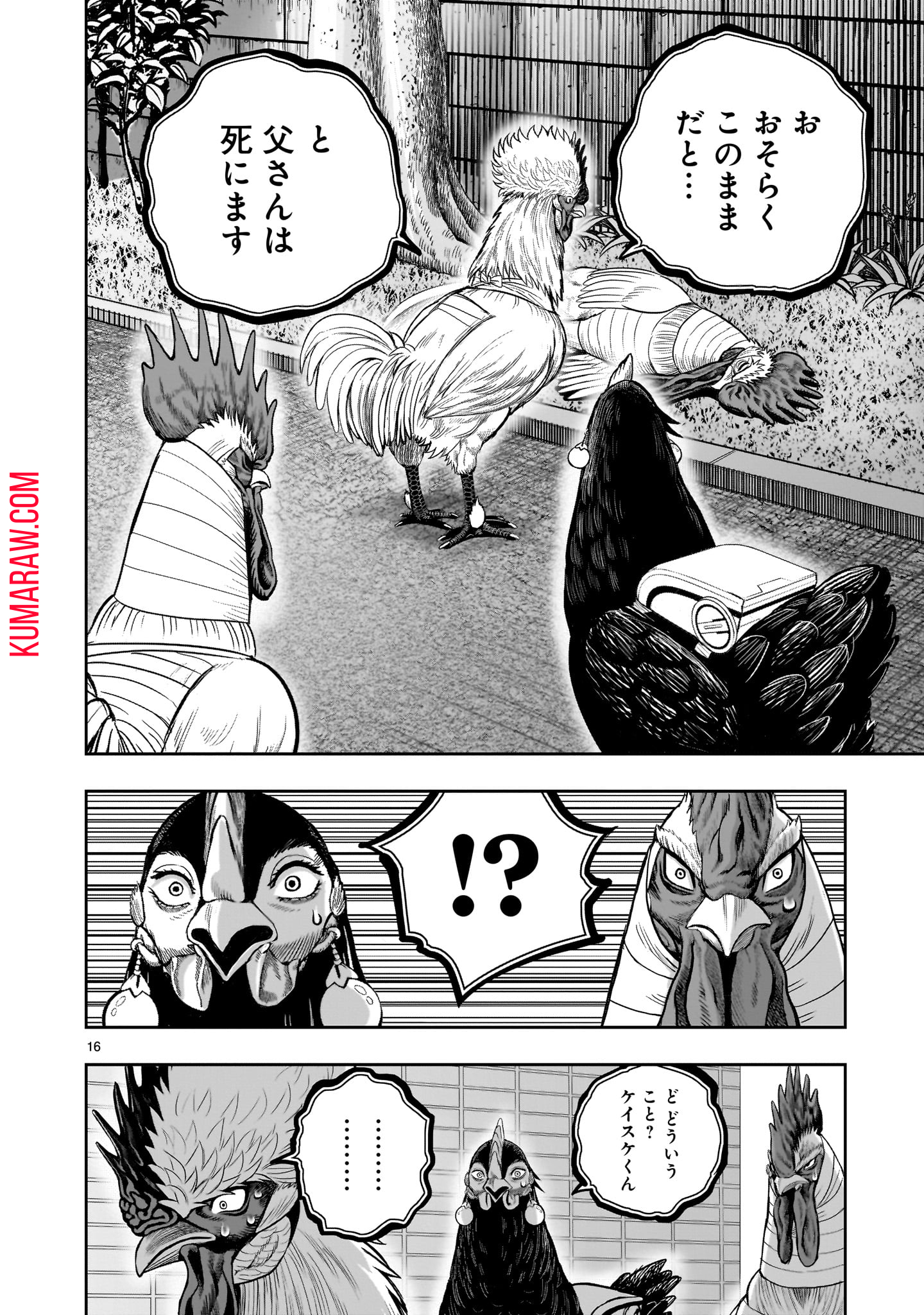 P16