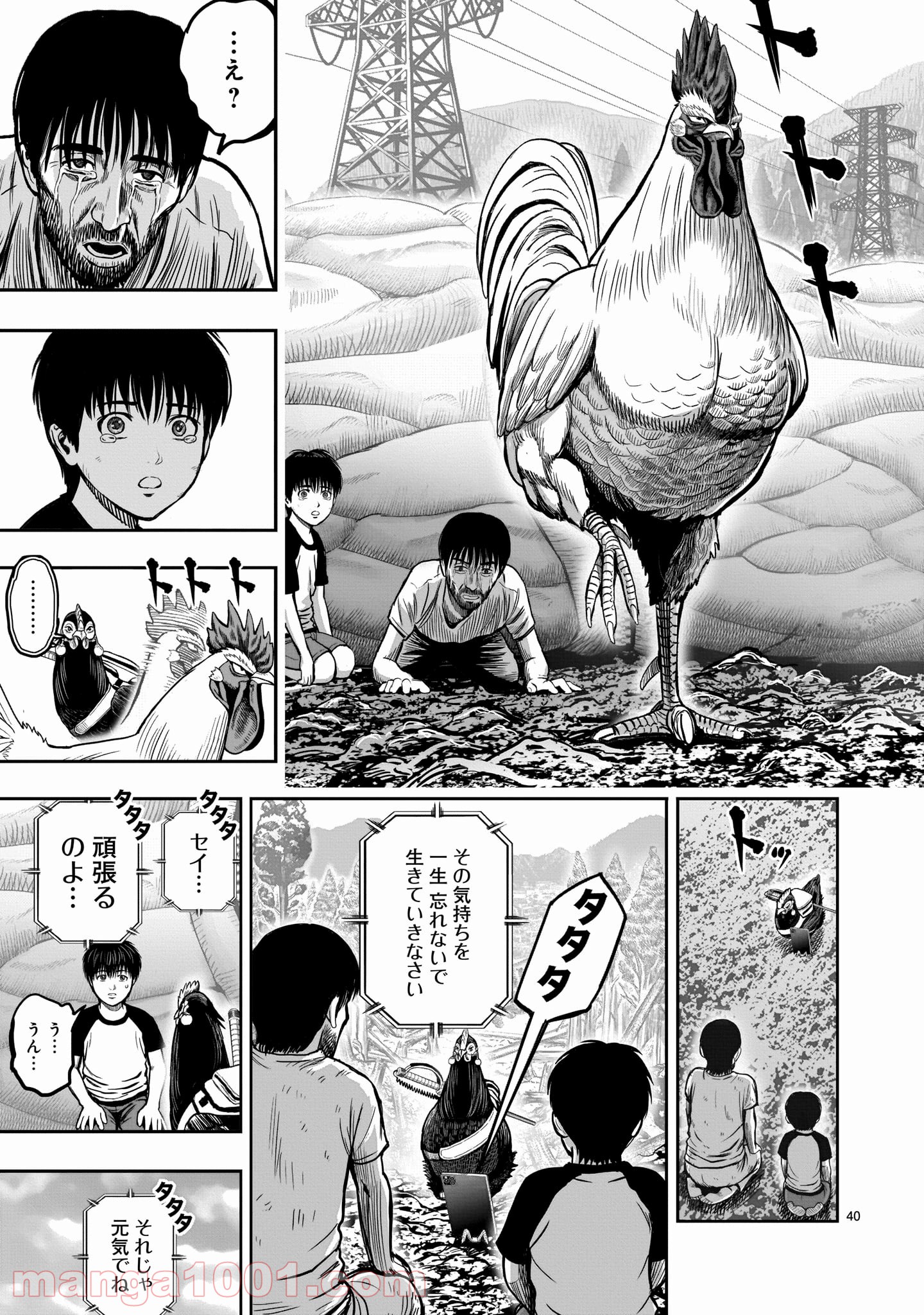 P39
