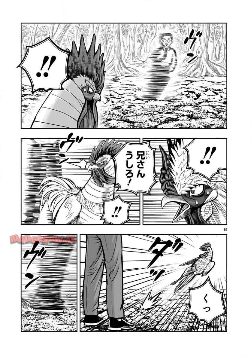 P19