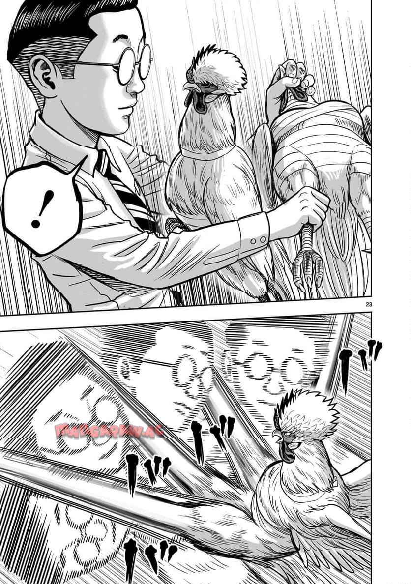 P23
