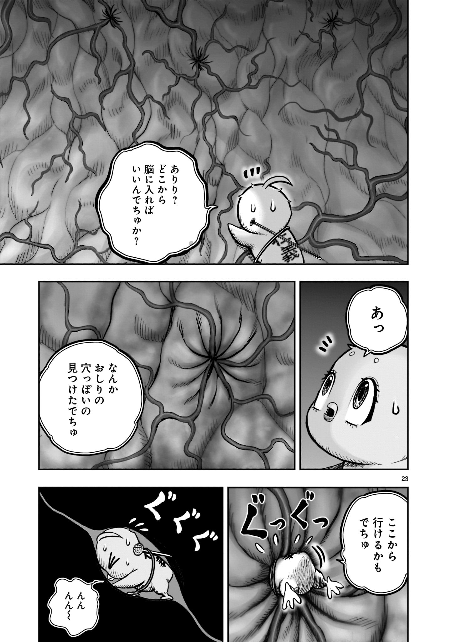 P23