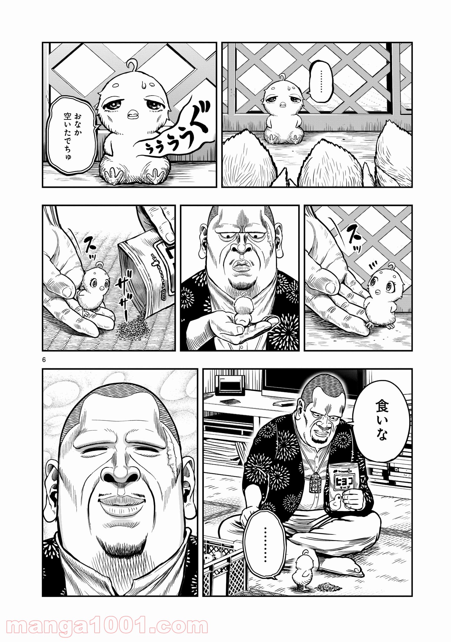 P6