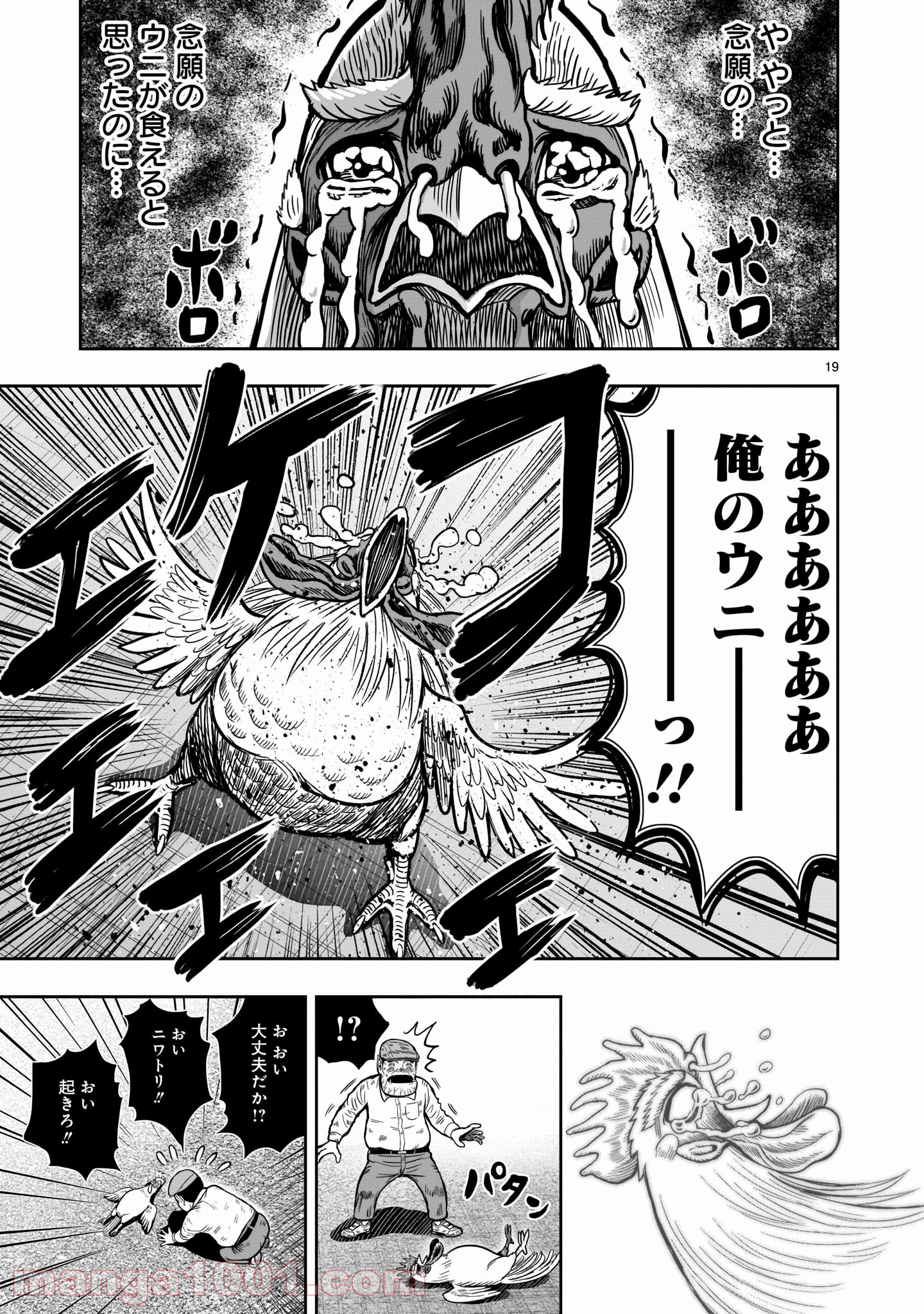 P19