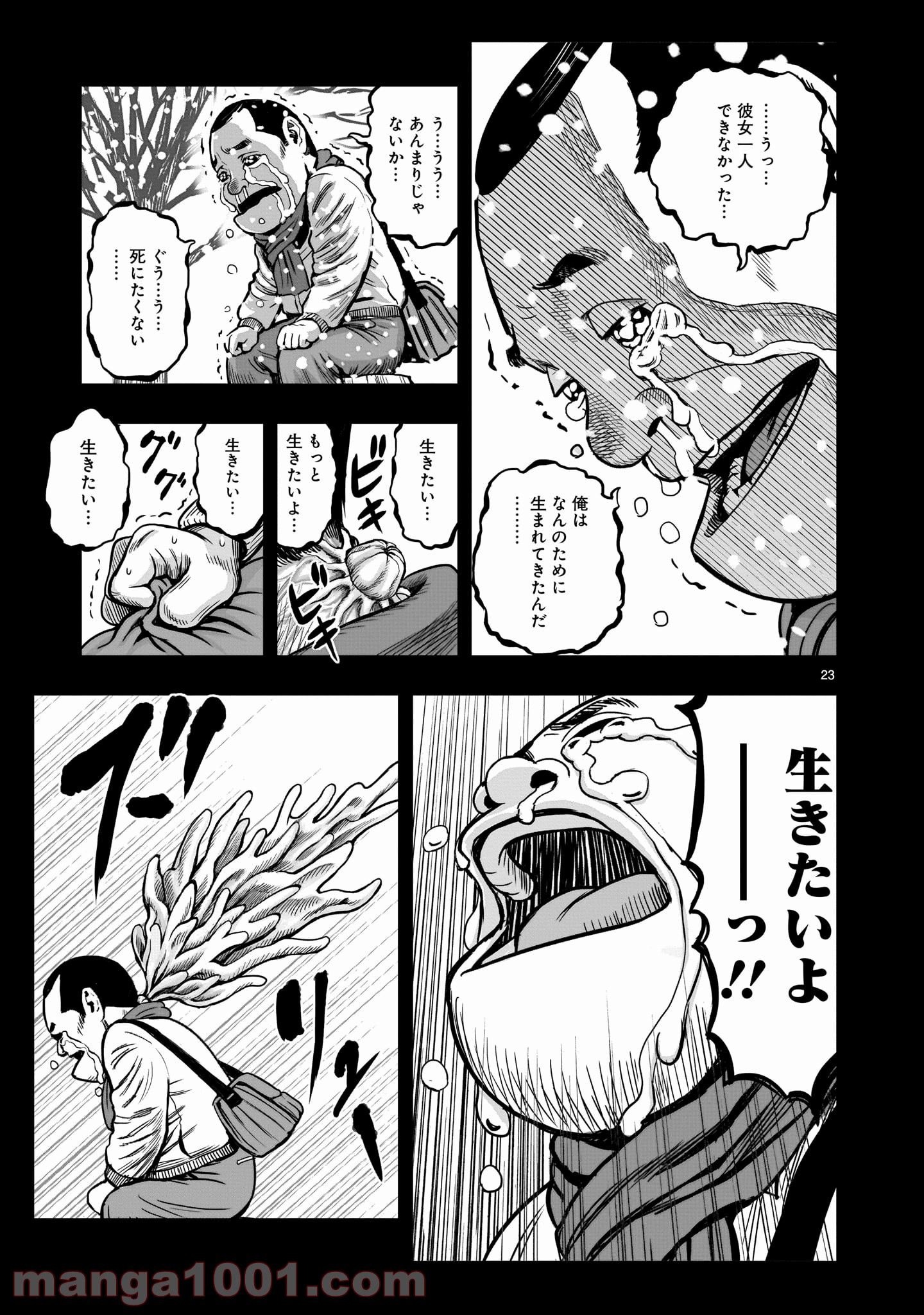 P23