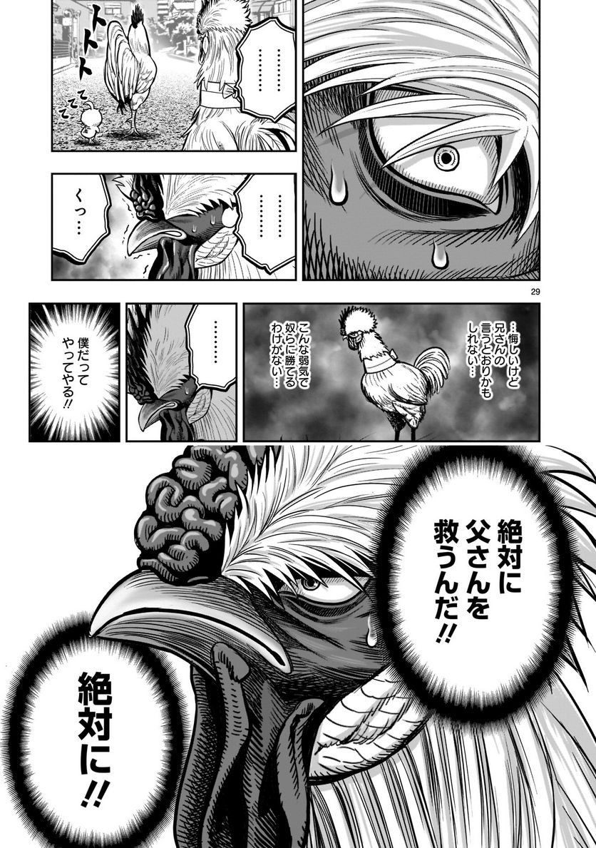 P29