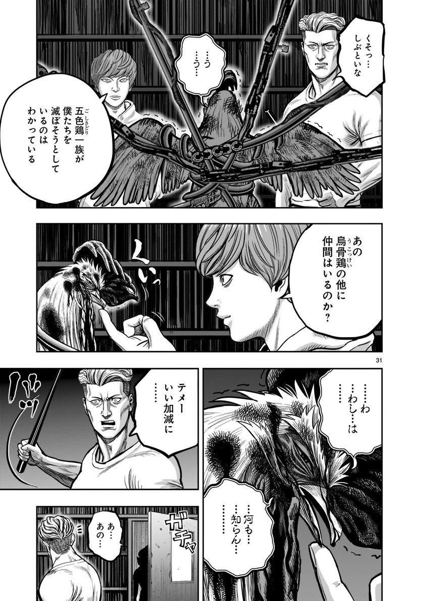 P31