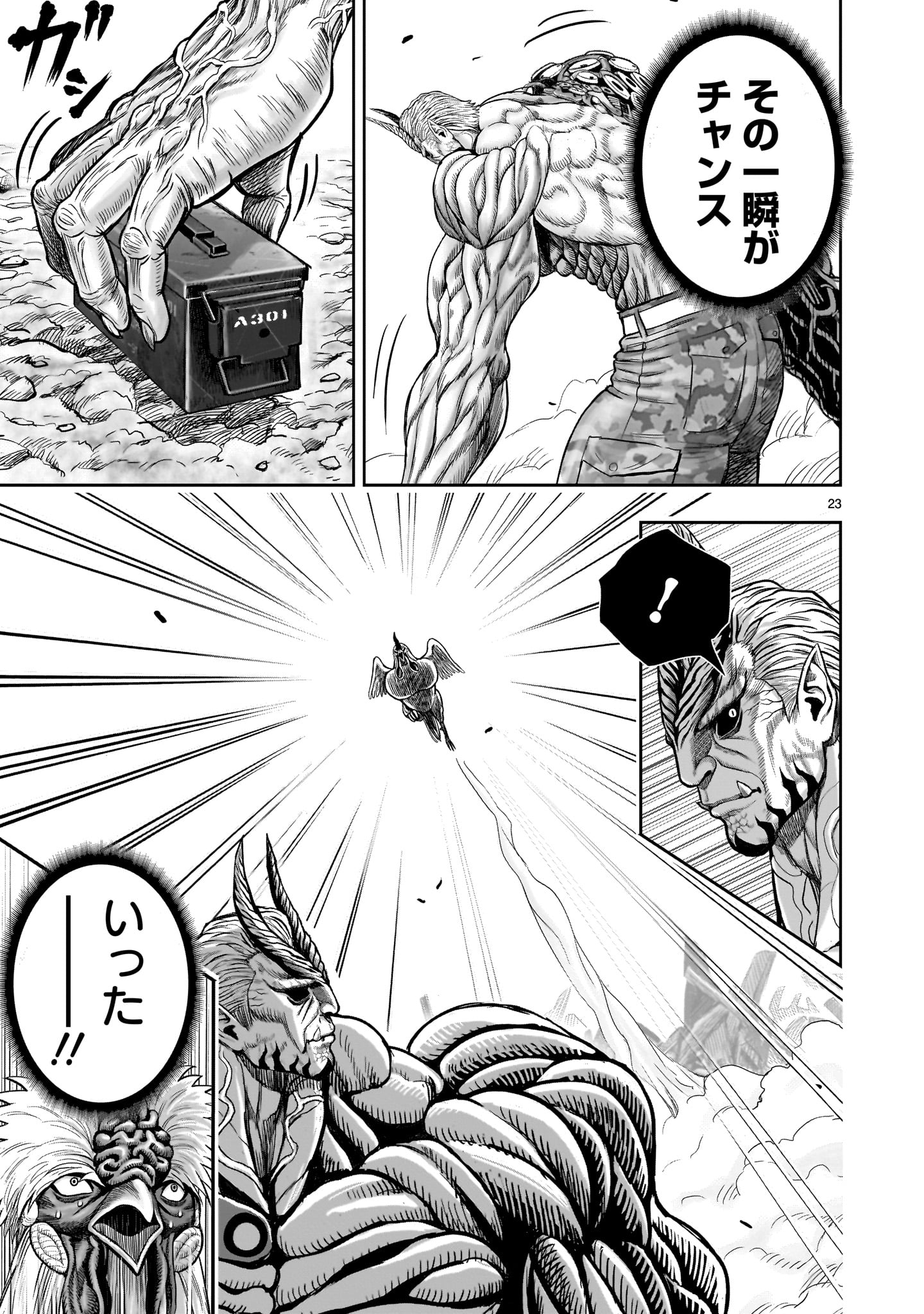P23