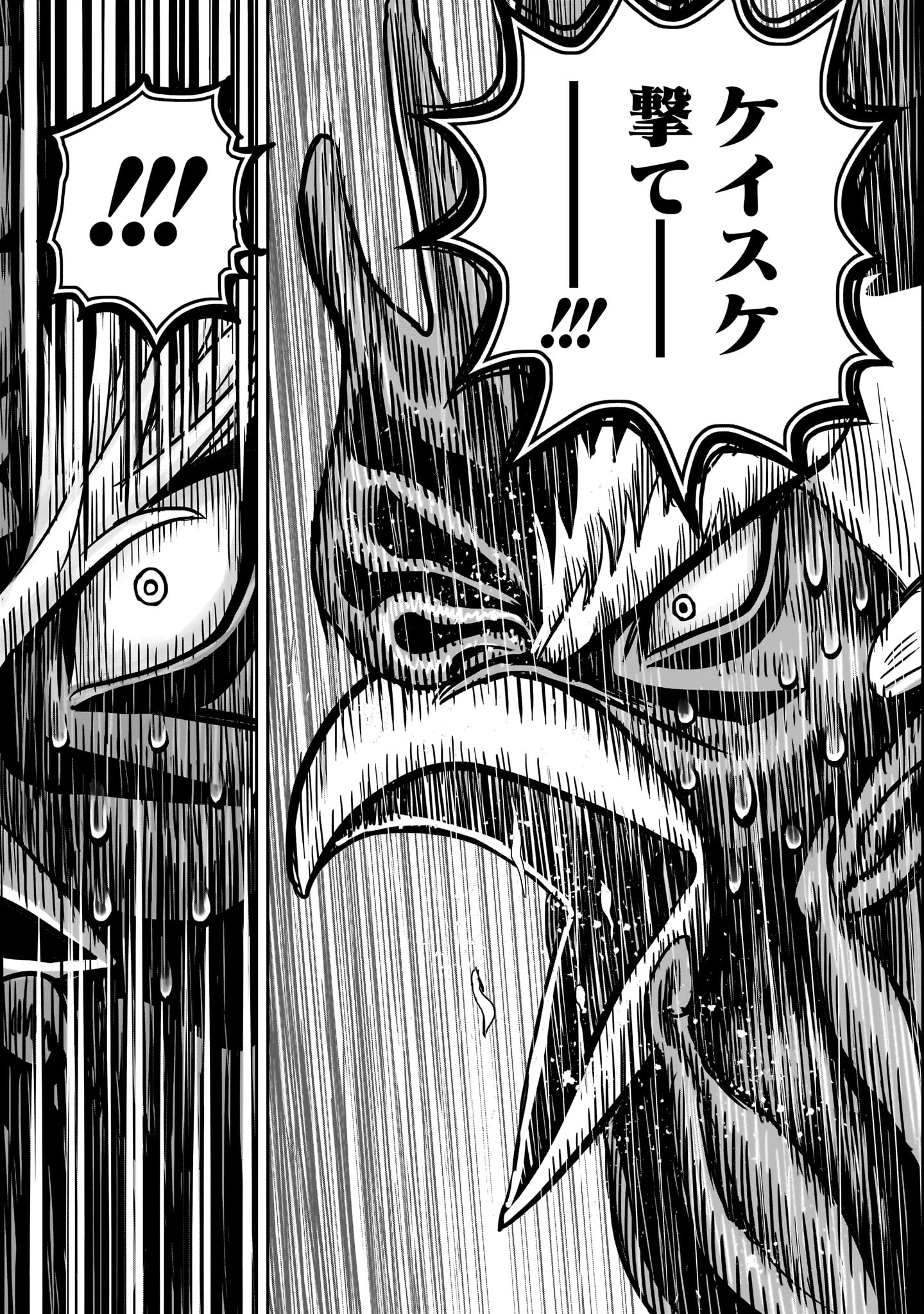 P53