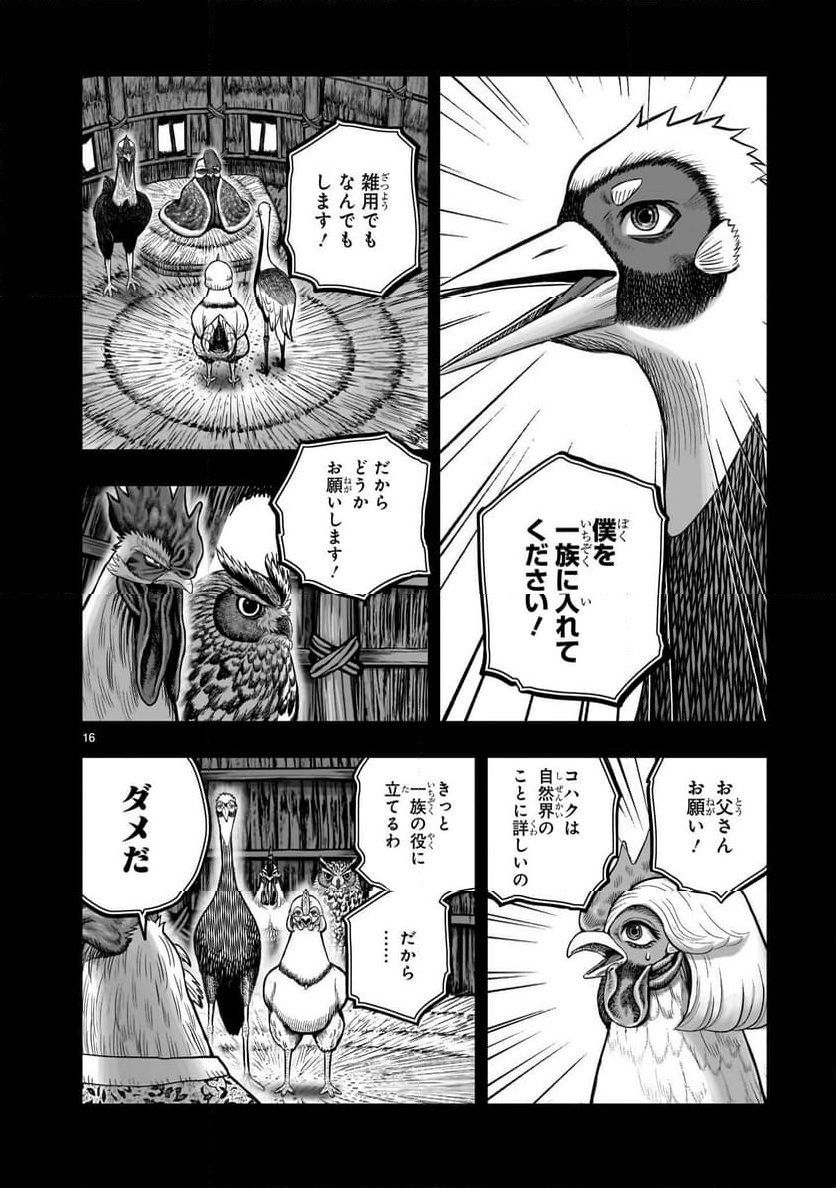 P16