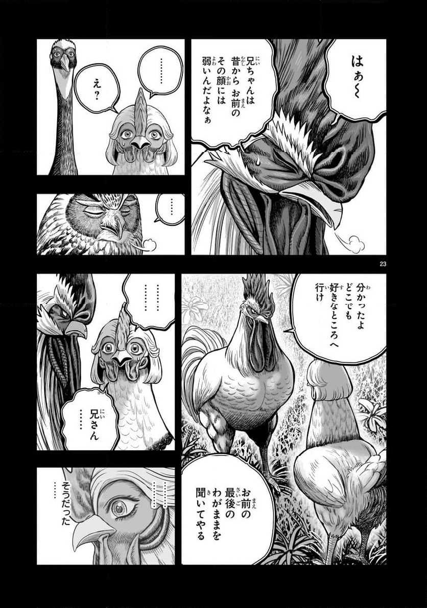 P23