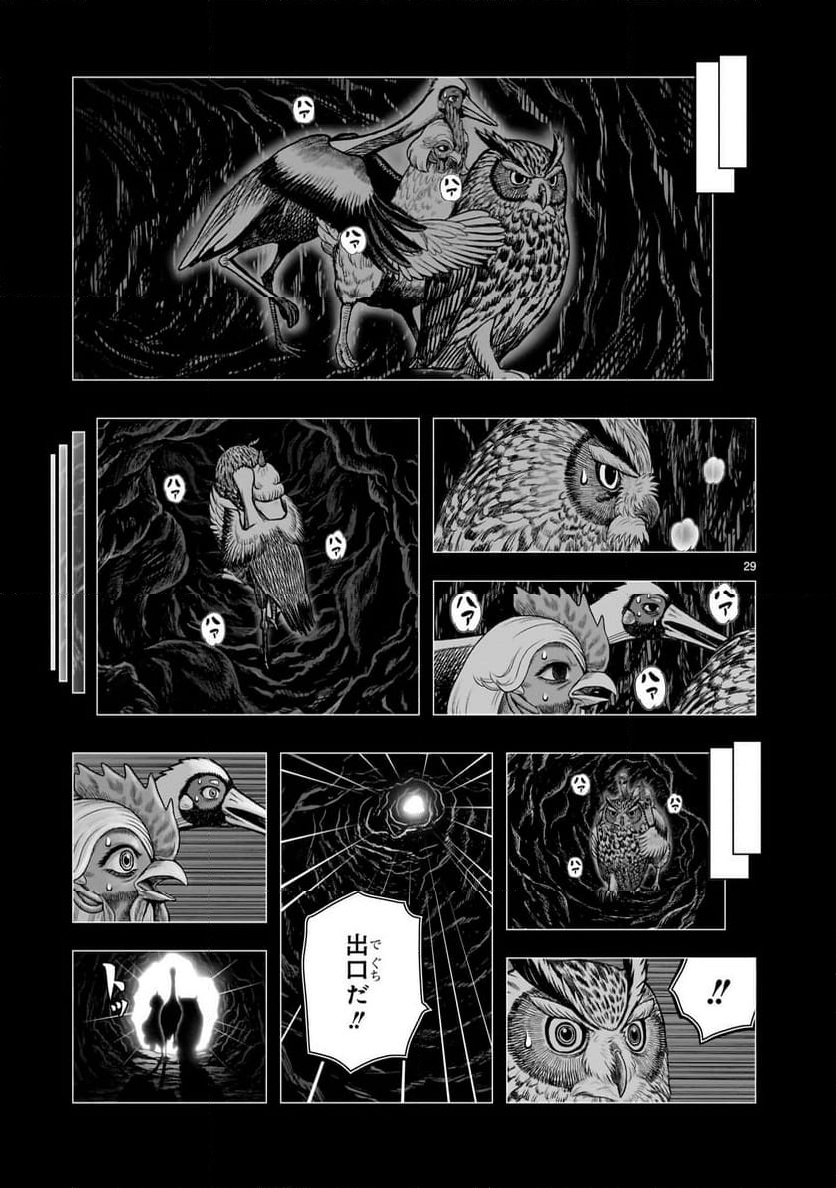 P29
