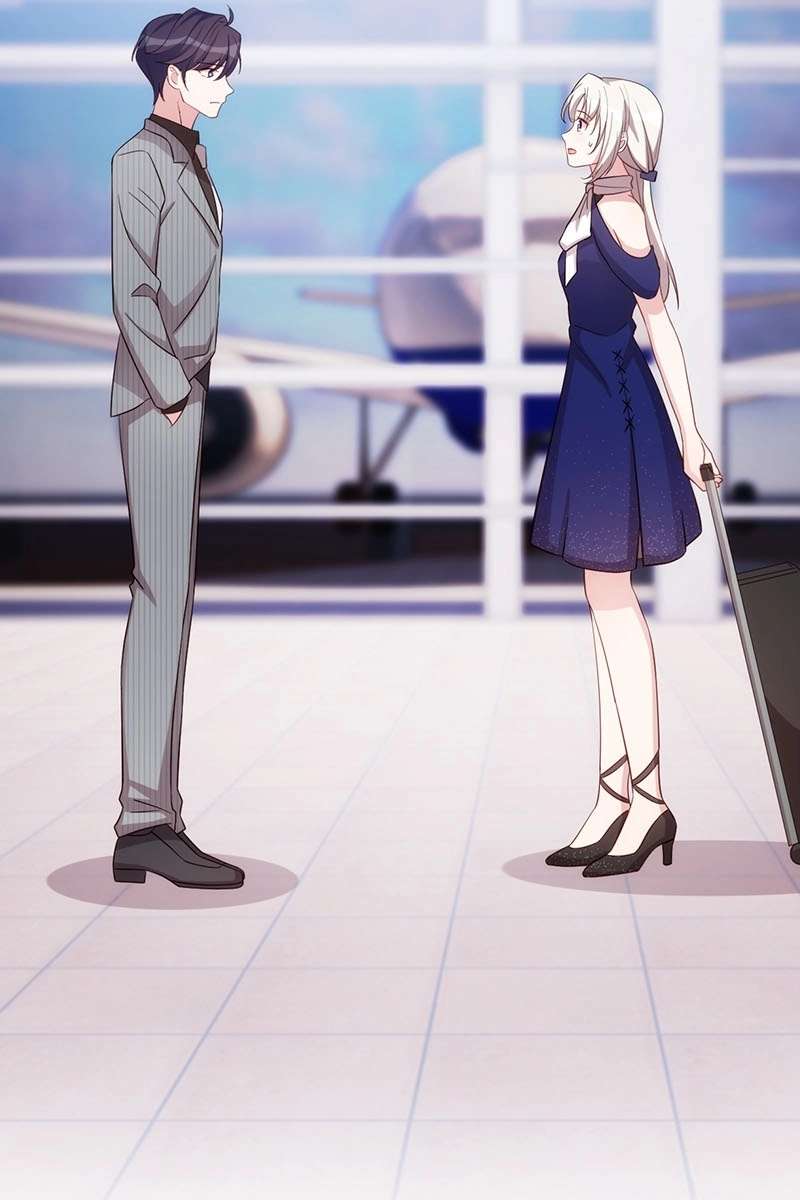 P53