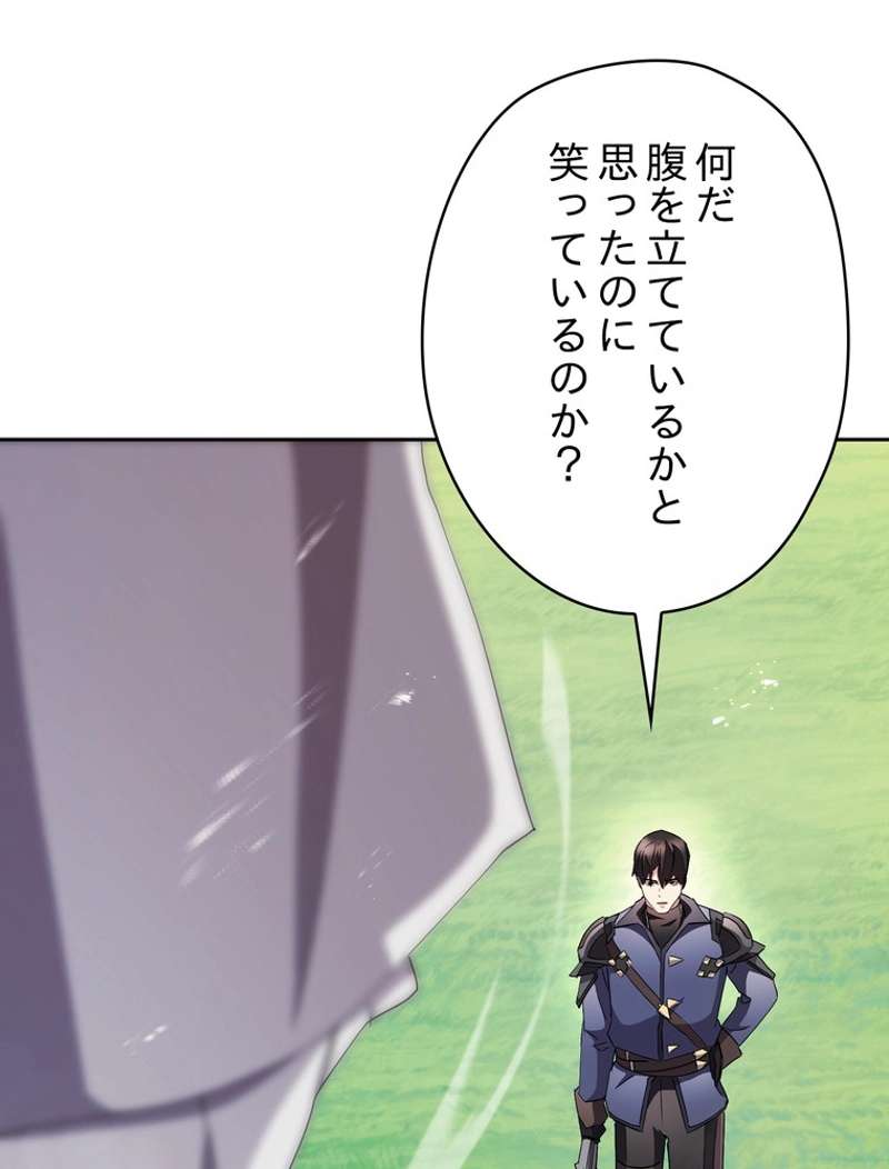 P113