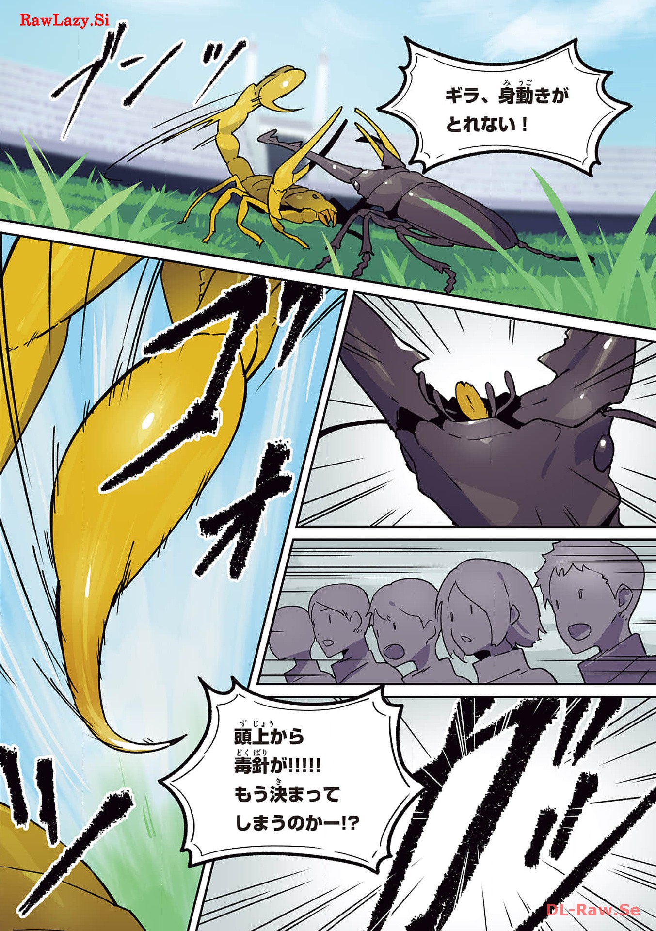 P27